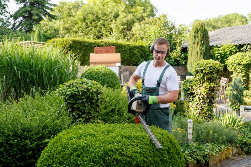 Butterfly Bush Trimming