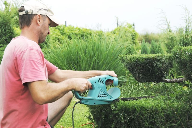 Butterfly Bush Trimming
