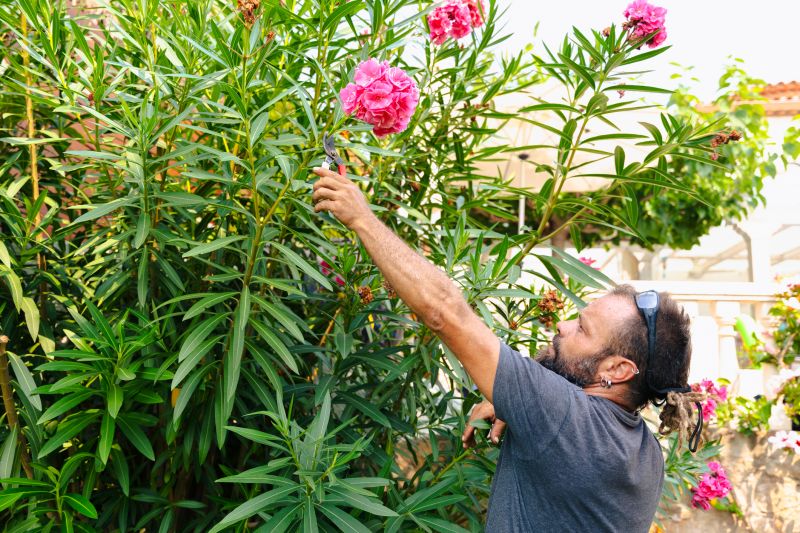 Butterfly Bush Trimming detail